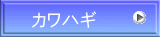 カワハギ